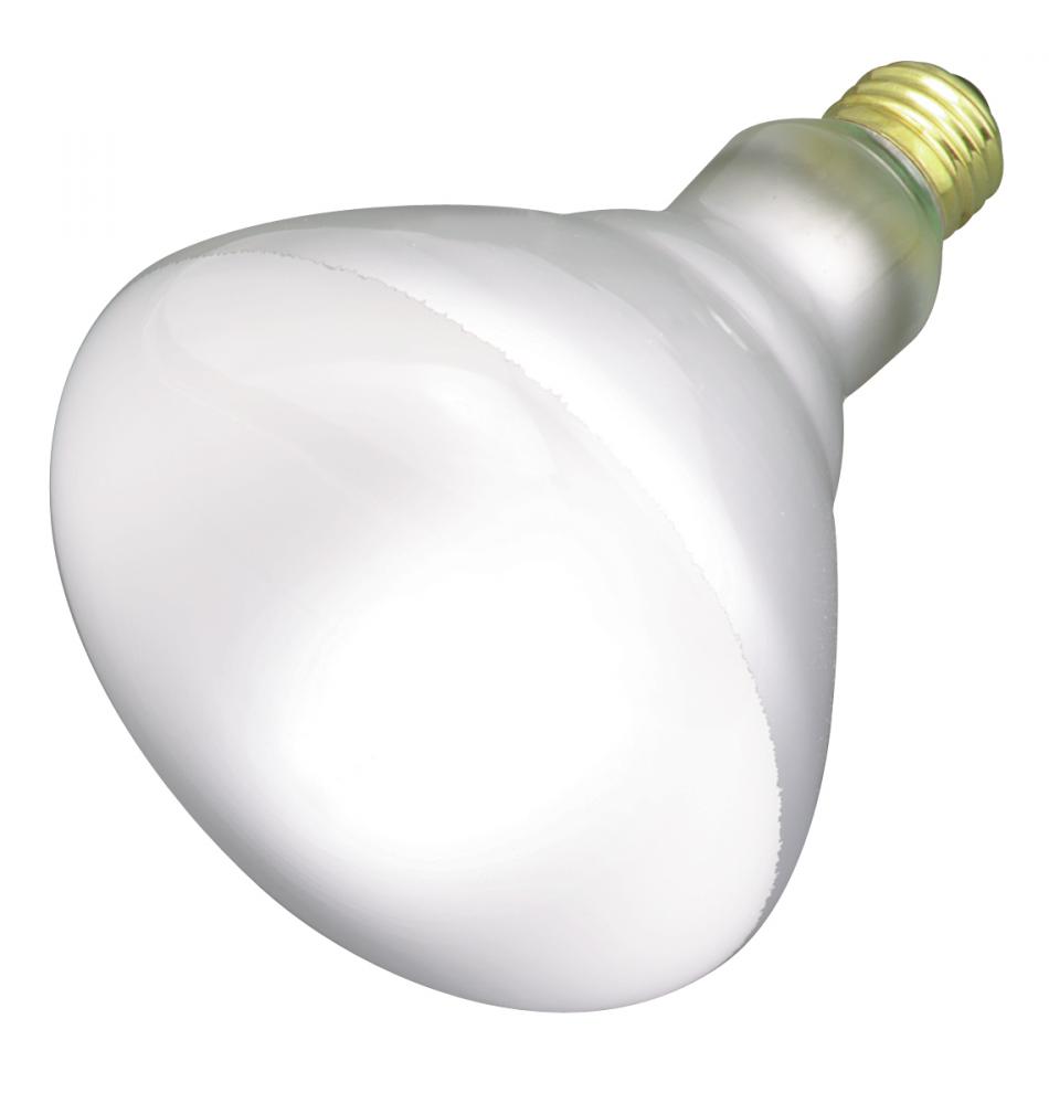 65 Watt BR40 Incandescent; Frost; 2500 Average rated hours; 540 Lumens; Medium base; 130 Volt