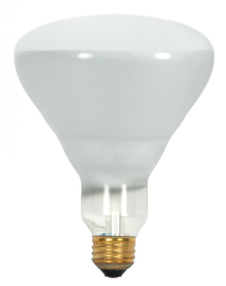 65 Watt BR40 Incandescent; Frost; 5000 Average rated hours; 510 Lumens; Medium Skirted base; 130