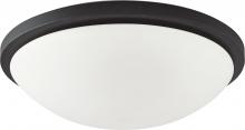Nuvo 62/1444 - Button LED - 17&#34;- Flush with Frosted Glass - Black Finish