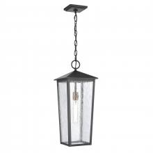 ELK Home 89474/1 - Marquis 22&#39;&#39; High 1-Light Outdoor Hanging Light - Matte Black